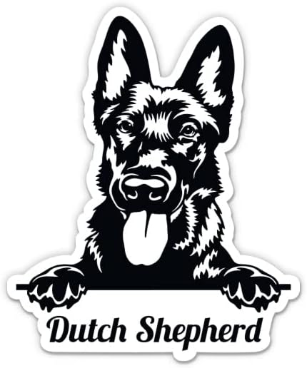 מדבקת כלבים רועה הולנדית - מדבקת מחשב נייד 3 אינץ ' - ויניל אטום למים לרכב, טלפון, בקבוק מים - מדבקות