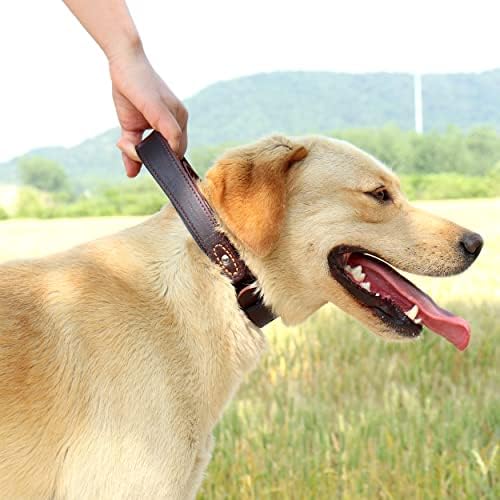 אמן חיות מחמד צווארון כלבי עור מקורי הליכה ואילוף צווארון כלבים כבד ידית כלבים בינוניים וגדולים צוואר
