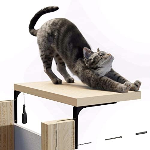 רוסמלי חתול מדף קיר ריהוט-45-ליברות-נבדק-קיבולת חתול מדף על פרימיום פלדה כבדה סוגריים לחתולים גדולים-16.75